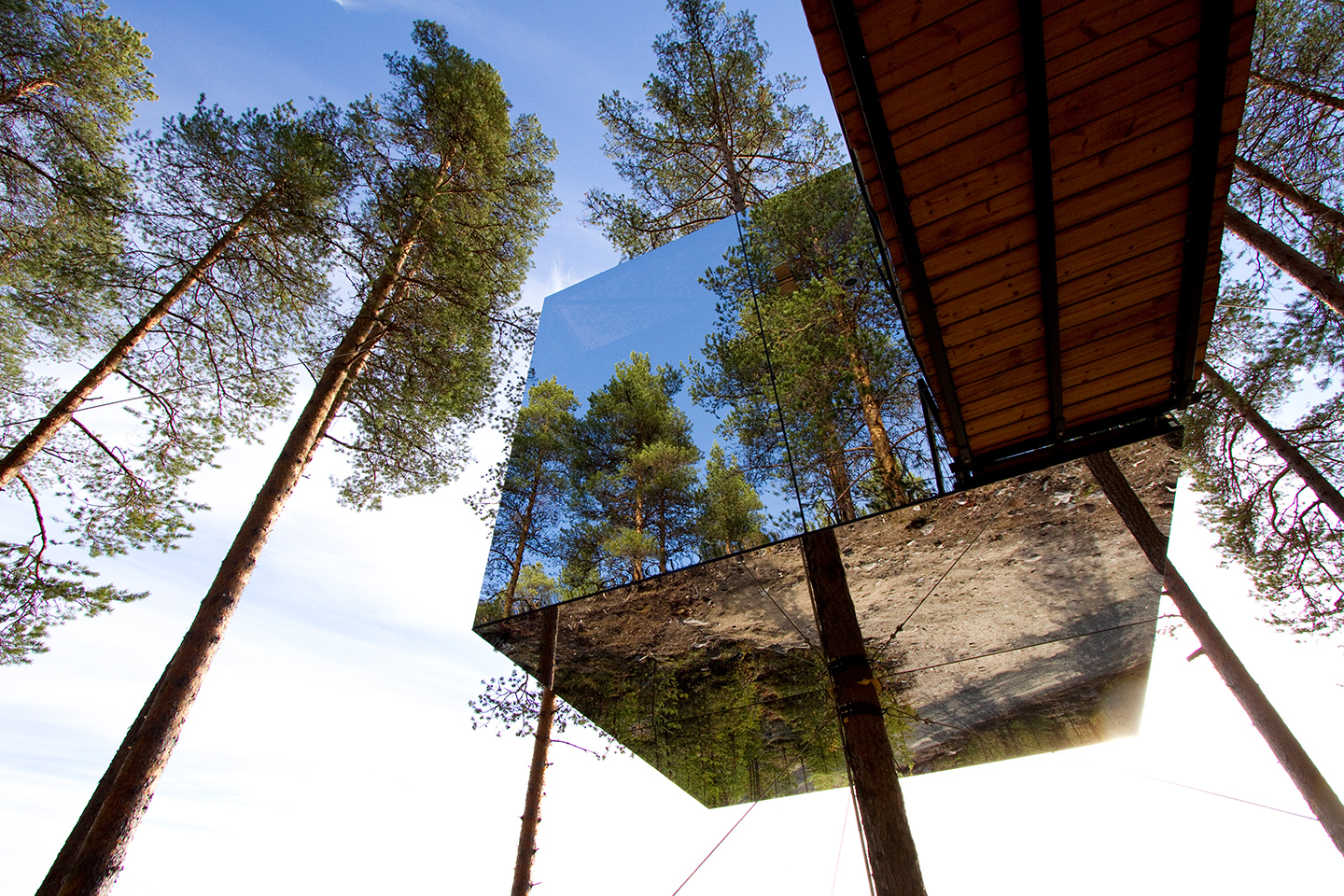 Go Off The Grid To Win A Stay Among Treetops Booking Com
