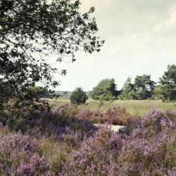 Autoverhuur overpelt Autoverhuur overpelt