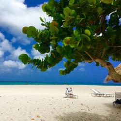 The 30 Best Hotels In Palm Eagle Beach Aw From 51