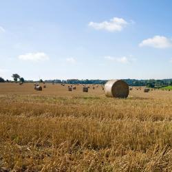 Travel agents in hounslow Travel agents in hounslow