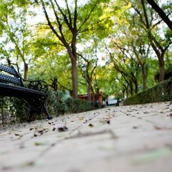 Ang best available hotels & places para mag-stay malapit sa ...