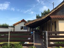 Vila "La Doua Stiuci"