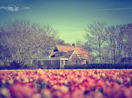 beste hotels Callantsoog  Prijzen vanaf     50 