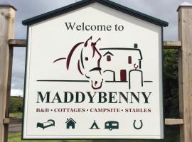 Maddybenny Mews Ltd