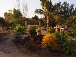 Baobab du lac