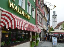 Hotel Waldhorn