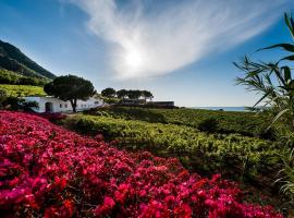 Capofaro Locanda & Malvasia