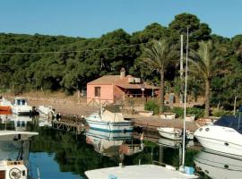 Fenicotteri Rosa Nello Stagno Di Brebeis Loc Porto Pino