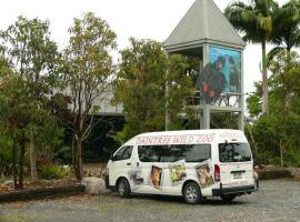 Daintree Wild Bed & Breakfast