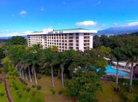 Barceló San José