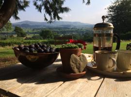 Maesyronnen Bed & Breakfast