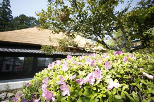 大分縣的傳統日式旅館 156 間位於日本大分縣的傳統日式旅館hotelsonline Pw