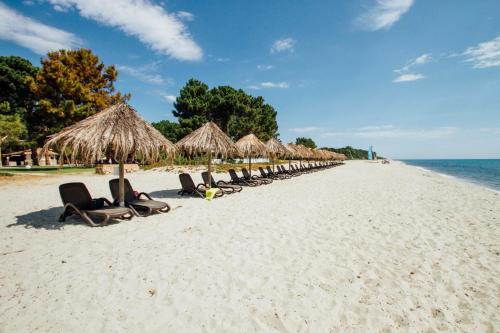 The 10 Best Corsica Resorts All Inclusive In Description For A11y