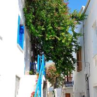 Bougainvillea House