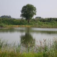 КФХ Ольгино