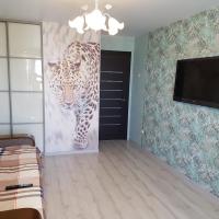 Apartments in the center of Vladivostok