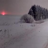 Снегири