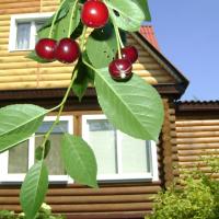 Holiday home on Sovetskaya 17