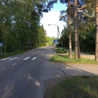 Annetika