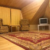 Vacation Home in Vnukovo