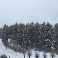 ФГУП пансионат с лечением Звенигородский