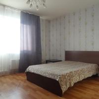 Apartment on Alekseeva 7