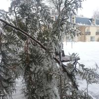 Загородный клуб Забава
