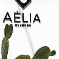 Aelia Mykonos