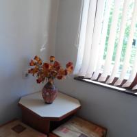 Apartment Tomovi
