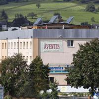 Hotel Aventis