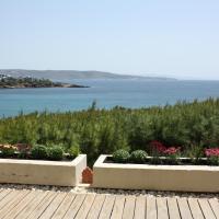 Blue Green Coast