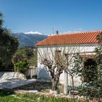 Traditional House
