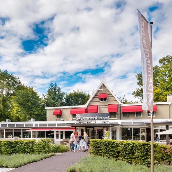 Dennenheuvel