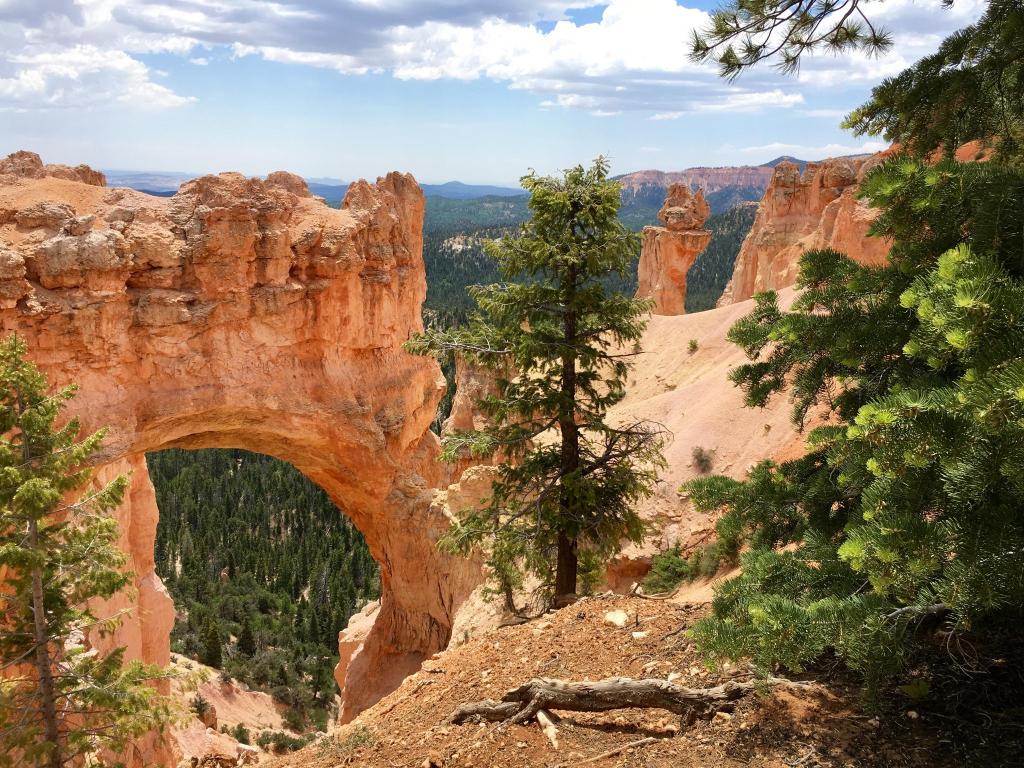 Bryce View