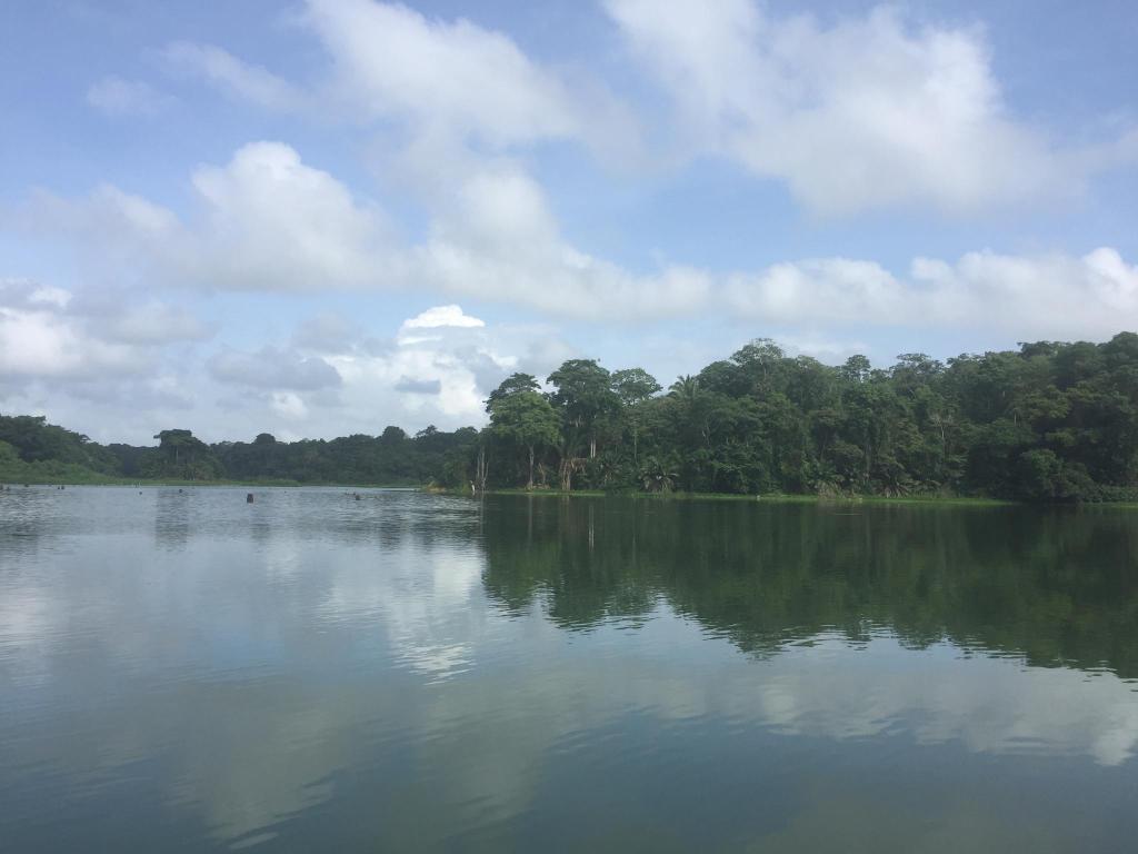 Gamboa Rainforest Resort  Panama Booking com