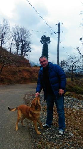 gocha gorgiladze