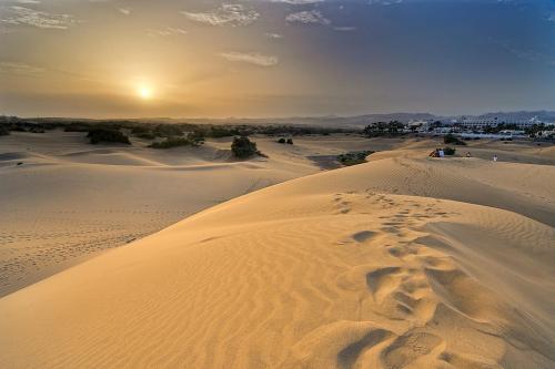 Dunas de Maspalomas