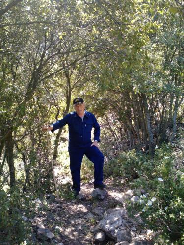 Mr. Makis