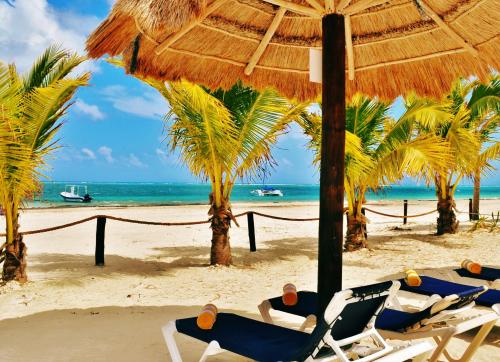 Arrecifes Suites Puerto Morelos Q. Roo