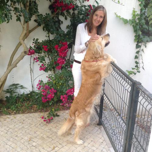 Alice Simões,owner