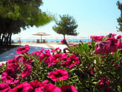 Thasos Blue Apartments