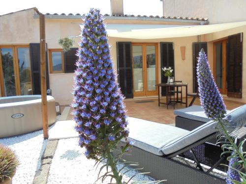 Appartamento Vista