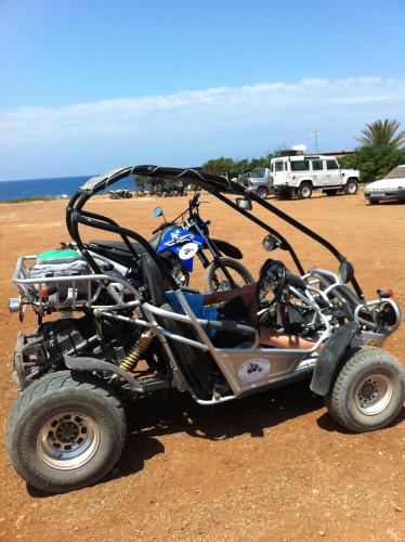 Buggy excursion