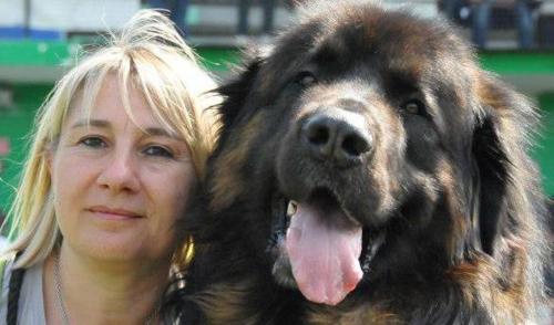 io e il mio cane